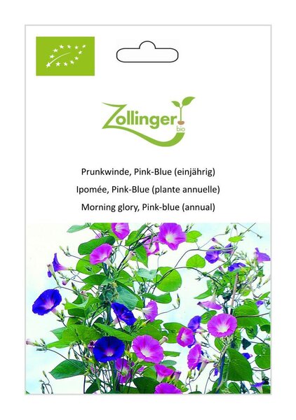 Prunkwinde, Pink-Blue (einj�hrig)