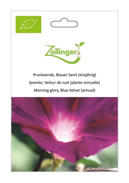Prunkwinde, Blauer Samt (einj�hrig)