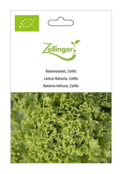 Bataviasalat, Celtic