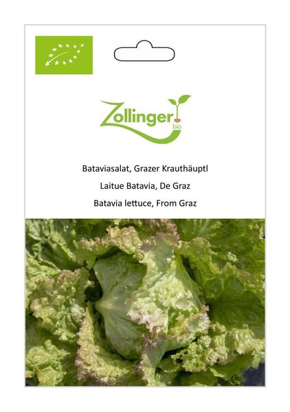 Bataviasalat, Grazer Krauth�uptl