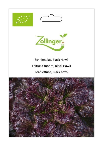 Schnittsalat, Black Hawk