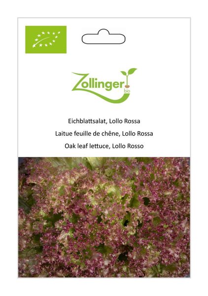 Eichblattsalat, Lollo Rossa