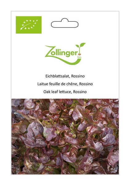 Eichblattsalat, Rossino