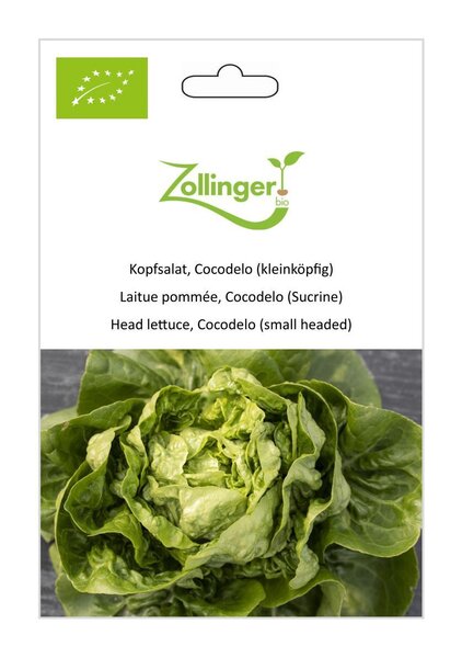 Kopfsalat, Cocodelo