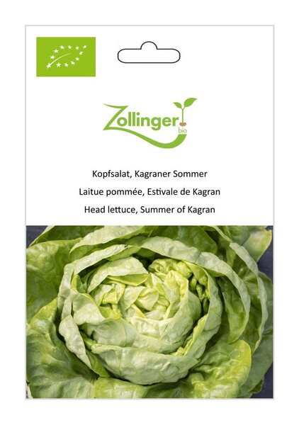 Kopfsalat, Kagraner Sommer