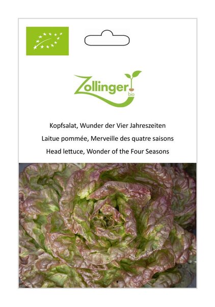 Kopfsalat, Wunder der Vier Jahreszeiten