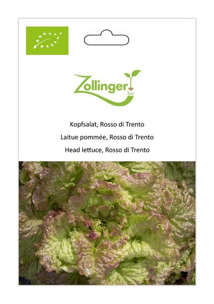 Kopfsalat, Rosso di Trento