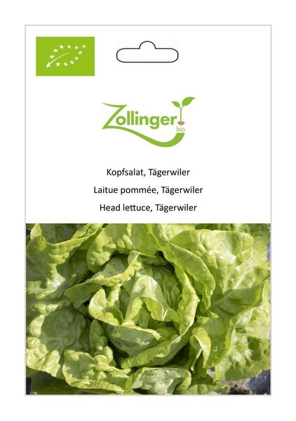 Kopfsalat, T�gerwiler