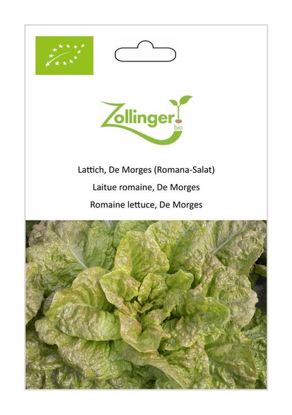 Lattich, De Morges (Romana-Salat)