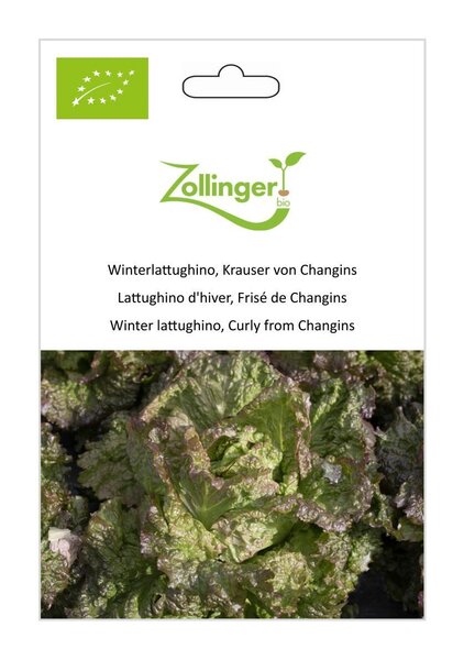 Winterlattughino, Krauser von Changins
