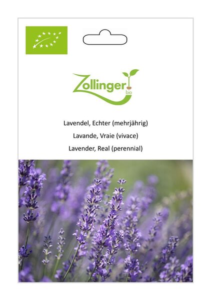 Lavendel, Echter (mehrj�hrig)