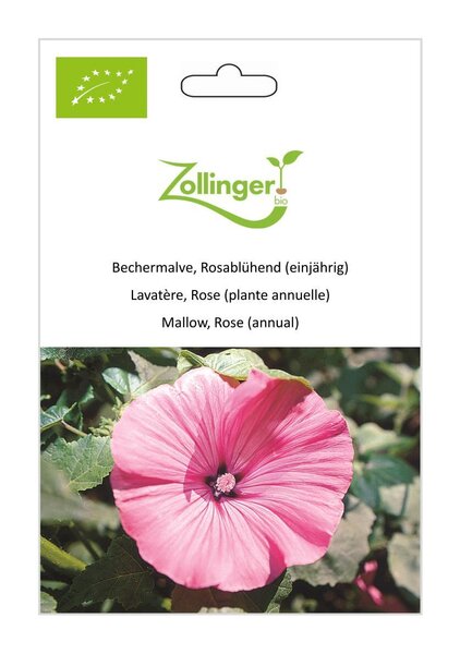Bechermalve, Rosabl�hend (einj�hrig)