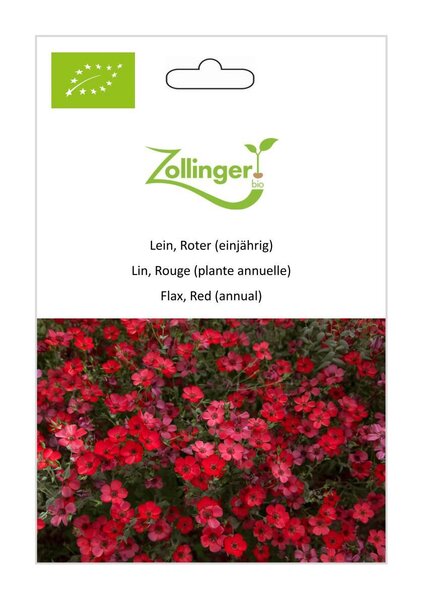 Prachtlein, Roter (einj�hrig)