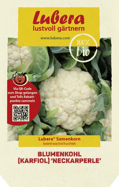 Blumenkohl (Karfiol) 'Neckarperle'