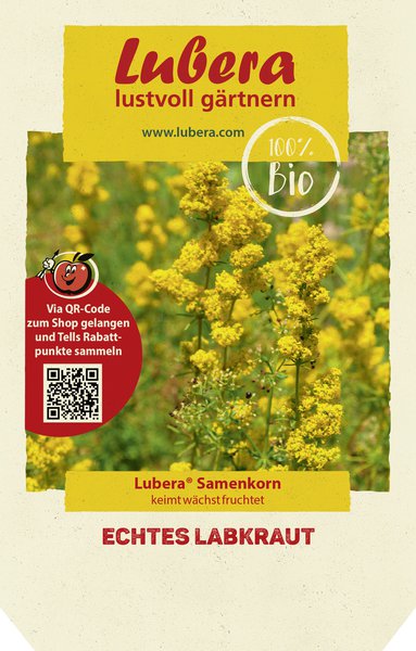 Echtes Labkraut