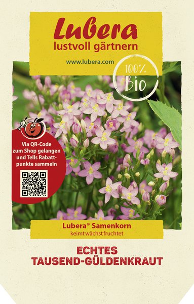 Echtes Tausend-G�ldenkraut