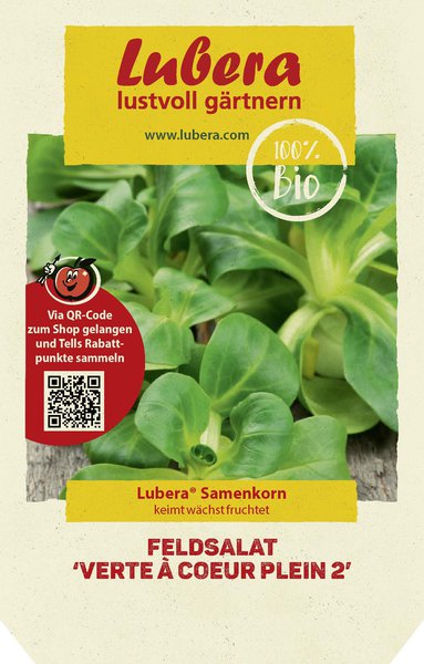 Feldsalat 'Verte � coeur plein 2'