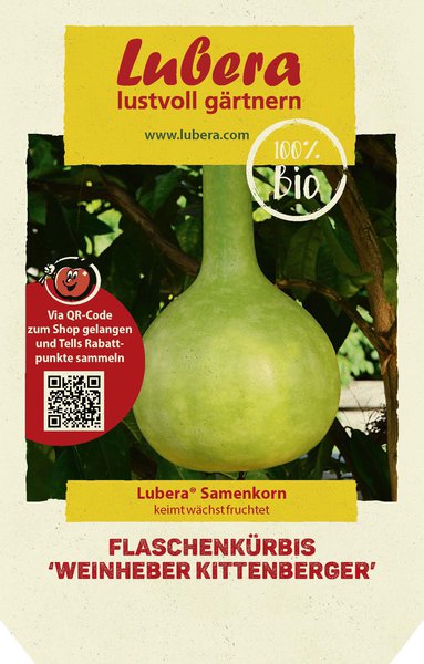 Flaschenk�rbis 'Weinheber Kittenberger'
