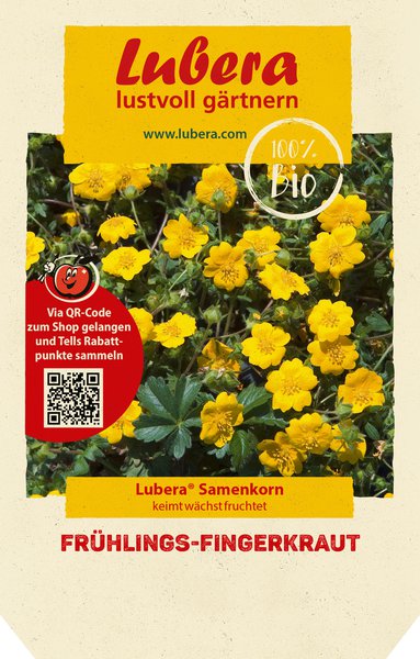 Fr�hlings-Fingerkraut