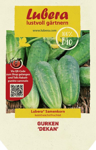 Gurken 'Dekan'