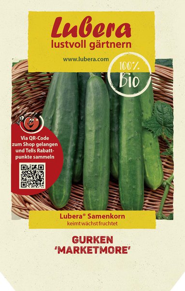 Gurken 'Marketmore'