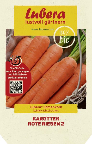 Karotten 'Rote Riesen 2'