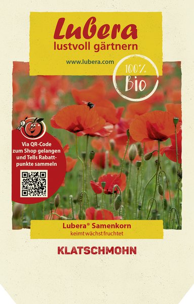 Klatschmohn