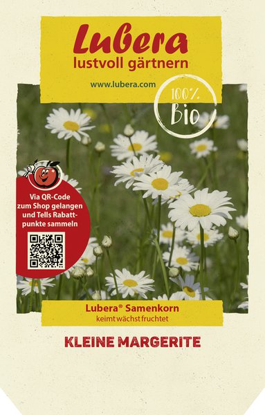Kleine Margerite