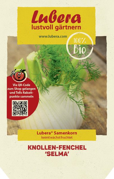 Knollen-Fenchel 'Selma'