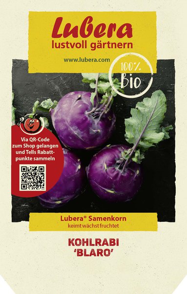 Kohlrabi 'Blaro'