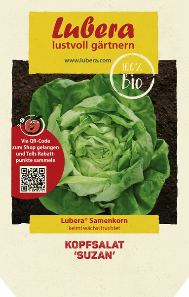 Kopfsalat 'Suzan'