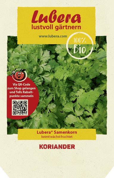 Koriander Samen