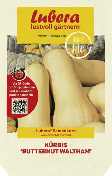K�rbis 'Butternut Waltham'