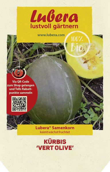 K�rbis 'Vert Olive'