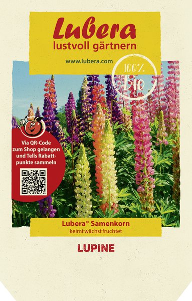 Lupine