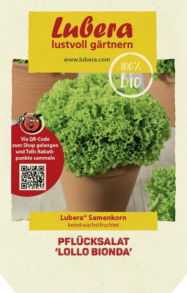 Pfl�cksalat 'Lollo Bionda'