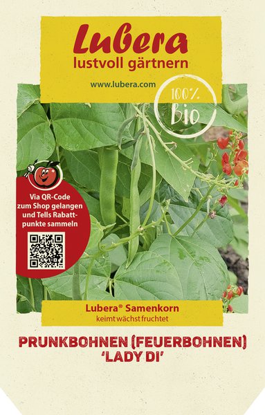 Prunkbohnen (Feuerbohne) 'Lady Di' 
