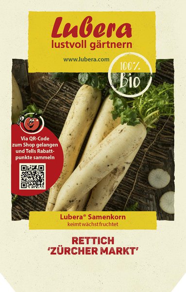 Rettich 'Z�rcher Markt'
