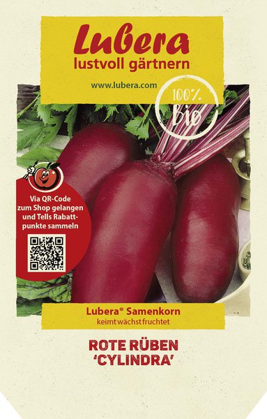 Rote R�ben 'Cylindra'