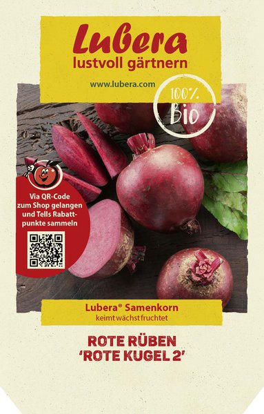 Rote R�ben 'Rote Kugel 2'