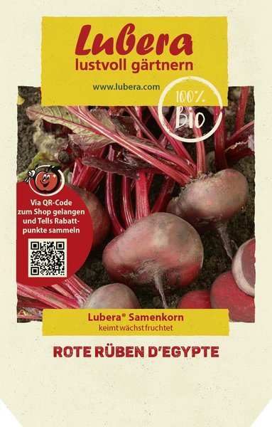 Rote R�ben d'Egypte