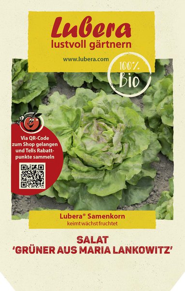 Salat 'Gr�ner aus Maria Lankowitz'
