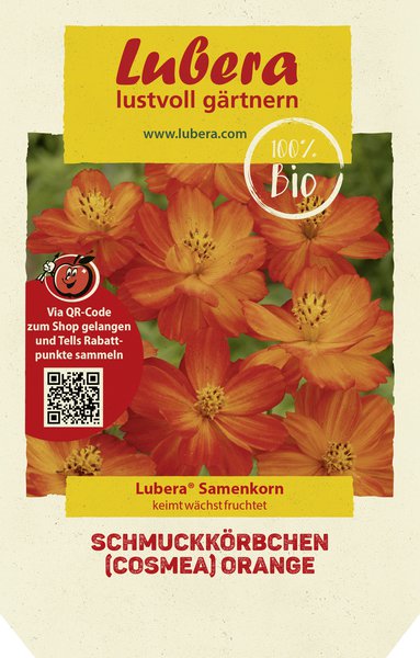 Schmuckk�rbchen (Cosmea) orange