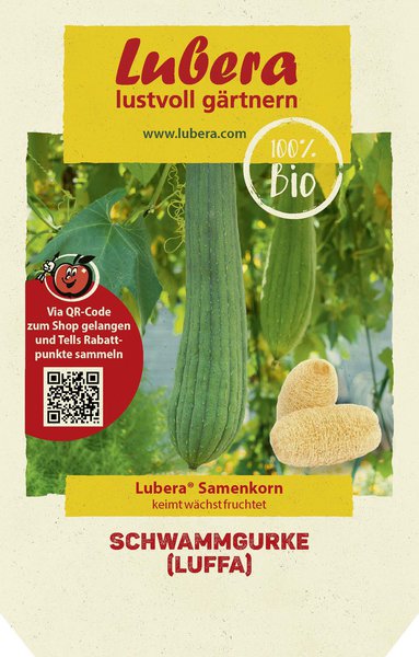 Schwammgurke (Luffa)