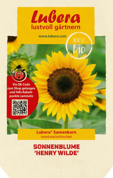 Sonnenblume 'Henry Wilde'