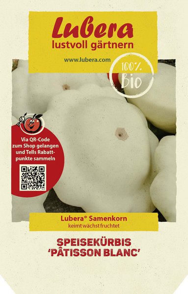 Speisek�rbis 'P�tisson blanc'
