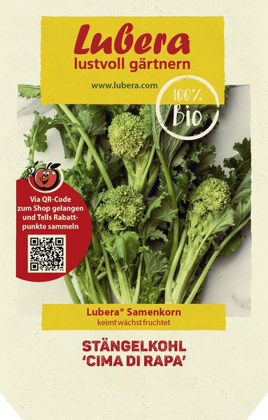 St�ngelkohl 'Cima di rapa'