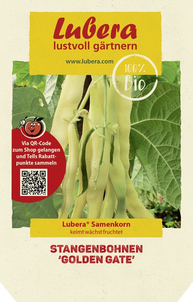 Stangenbohnen 'Golden Gate'