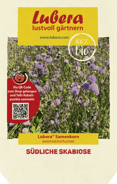 S�dliche Skabiose