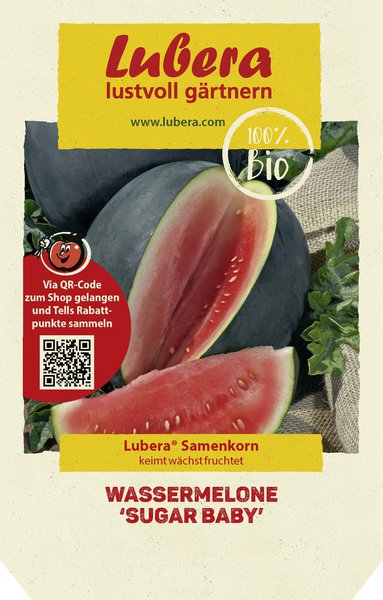 Wassermelone 'Sugar Baby'